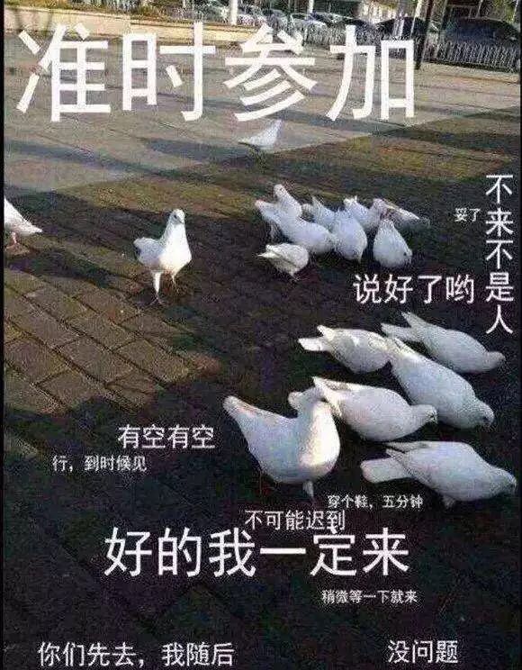 标致的荔枝