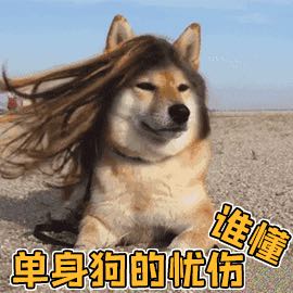 娇气的小馒头