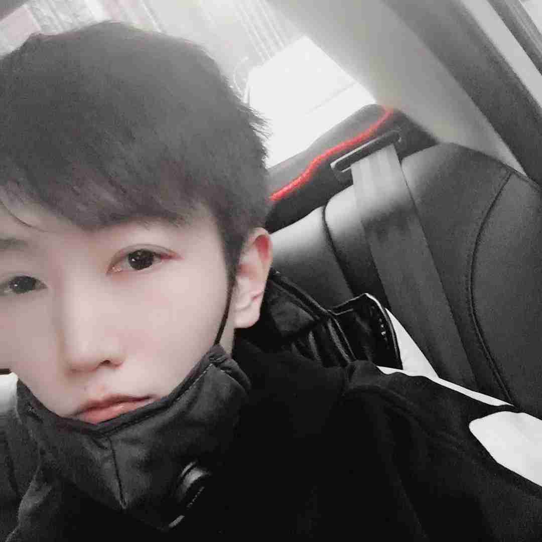 狮子是流浪的猫