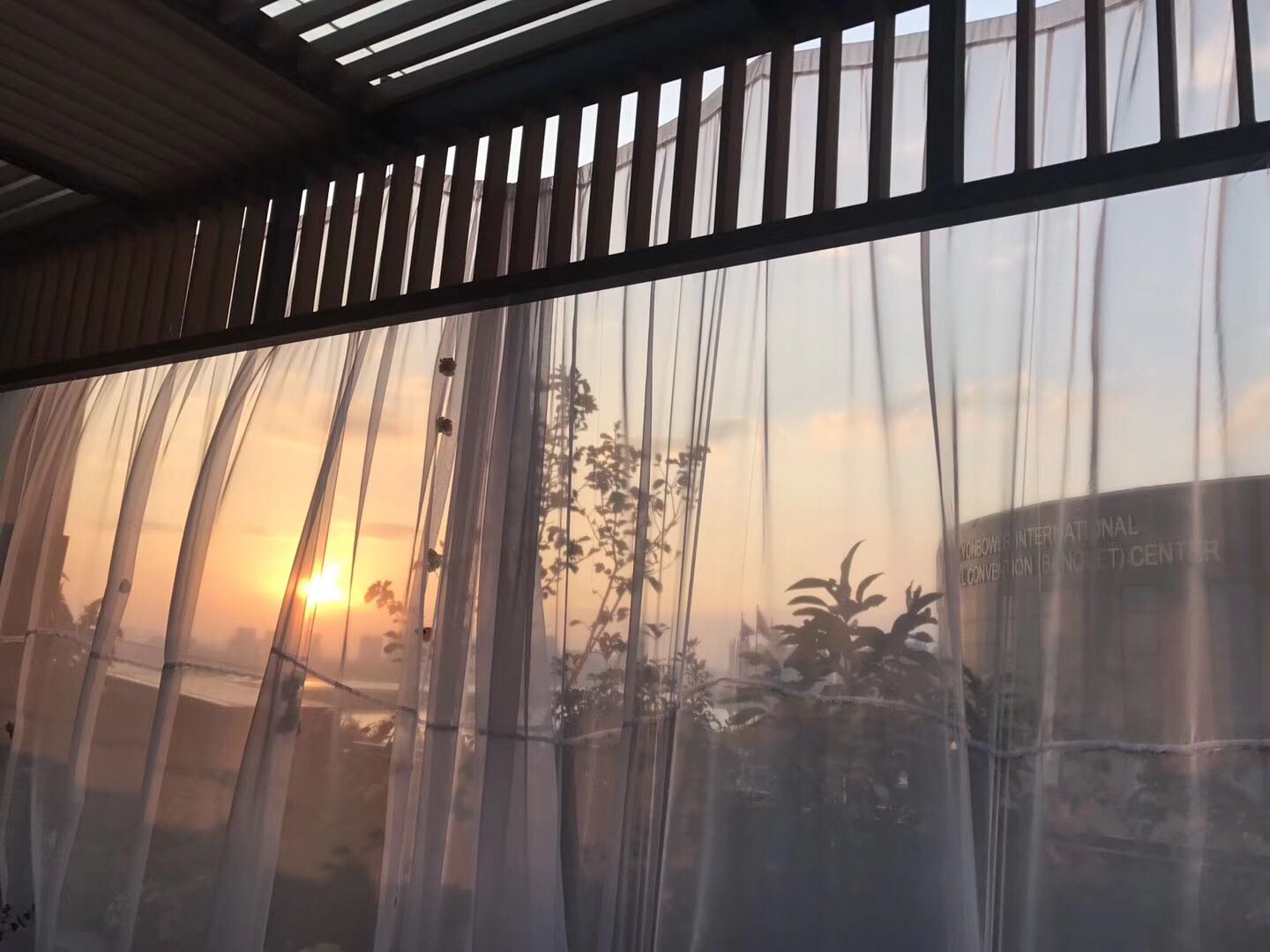 喜悦的热狗
